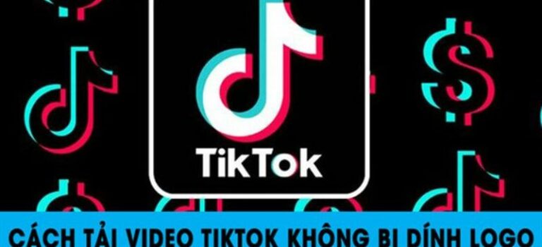 download video TikTok