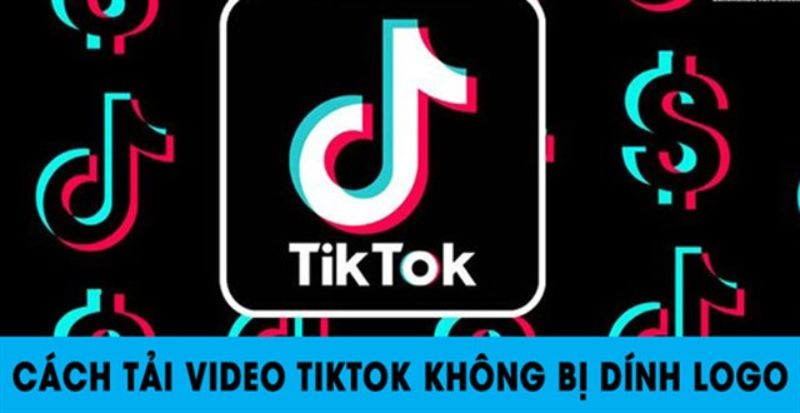 download video TikTok